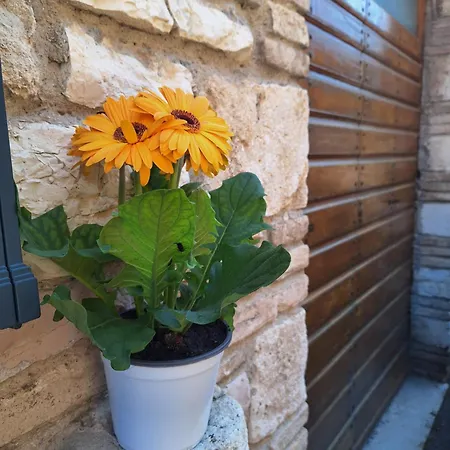 Apartament Eluna Asyż