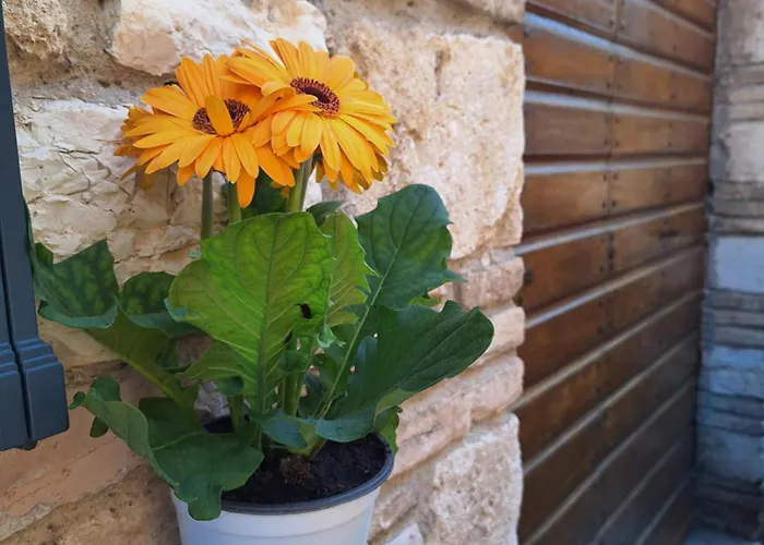 Appartamento Elunà Assisi